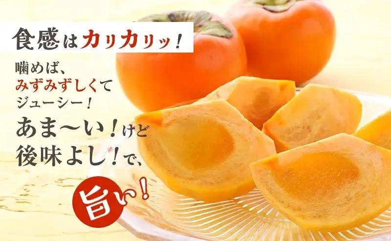 富有柿発祥の地から収穫翌日発送！【贈答用】富有柿 Lサイズ 14個 | かき フルーツ カキ 果物 くだもの ※2026年11月～発送