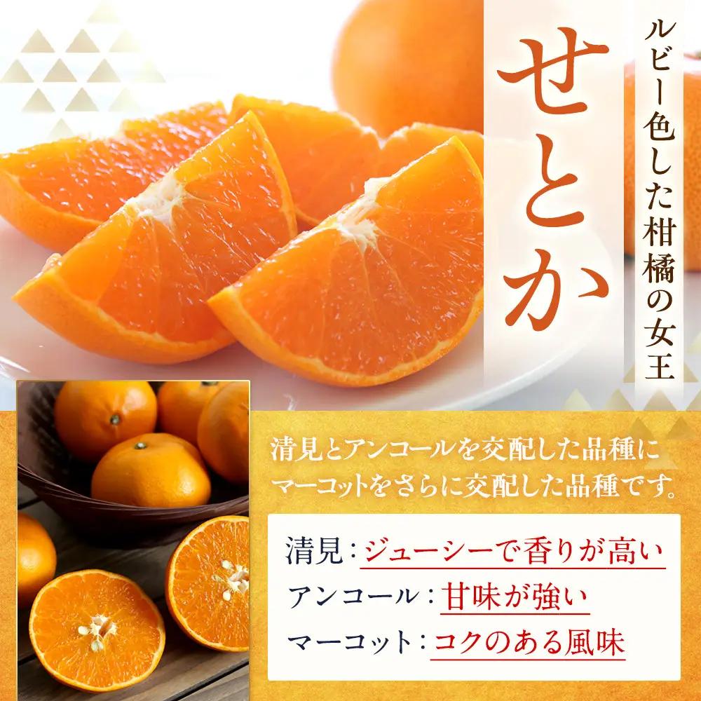 訳あり せとか 2.5kg M～2Lサイズおまかせ 高石垣ファーム