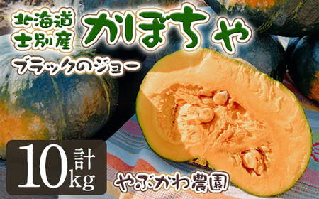 【B7116】＜期間限定＞北海道士別市産 かぼちゃ ブラックのジョー (10kg・5~8玉) 【2025年10月から12月の間に順次発送】かぼちゃ 南瓜 カボチャ 北海道産 国産 野菜 やさい 甘み 産地直送 おかず 味覚の秋【やぶかわ農園】