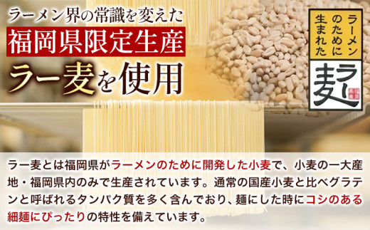 博多とんこつラーメン 5人前(めん×5 スープ×5) 豚骨 とんこつ ラーメン 送料無料《30日以内に出荷予定(土日祝除く)》 福岡県 鞍手郡 鞍手町 スープ付き 半生ラーメン ラー麦麺 ラーメン