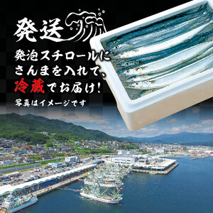 訳あり ＼ さんま ／ 2kg 冷蔵