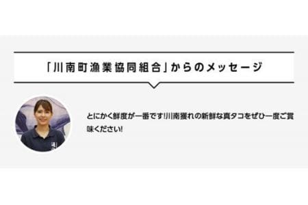 漁協直送！天然タコ（湯がき済）小分けで1kg前後 【 海鮮 真たこ 刺身 マリネ 魚介 九州 宮崎 川南 地どれたこ 】