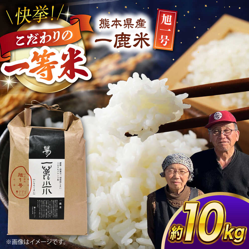 【ふるさと納税】【先行予約】 【天日塩を使用】一鹿米 旭一号 米 白米 10kg【株式会社 夢アグリ】[ZCL016]