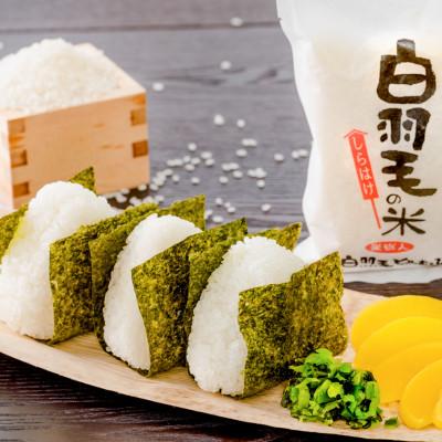 ふるさと納税 十日町市 【毎月定期便】農家直送!魚沼産コシヒカリ 精米(5kg×1袋)全12回 |  | 01