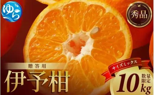 伊予柑 和歌山みかん 秀品 10kg 贈答用 / 柑橘 贈り物 甘い 果物  ※2027年1月中旬頃～3月上旬頃に順次発送予定【ksmt009-r-10】