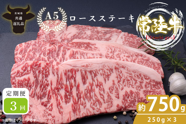 【3回定期便】最高級A4.A5ランク 常陸牛ロースステーキ750ｇ（250g×3）×3回【人気肉 お肉 牛肉 和牛 黒毛和牛 国産黒毛和牛 ロース肉 ステーキ 国産牛 焼肉 焼き肉 バーベキュー BBQ A5 ブランド牛】(CR010)