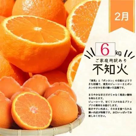 【発送月固定定期便】紀州和歌山産旬のご家庭用柑橘セット(みかん・不知火・清見)全3回【配送不可地域：離島】【4060324】