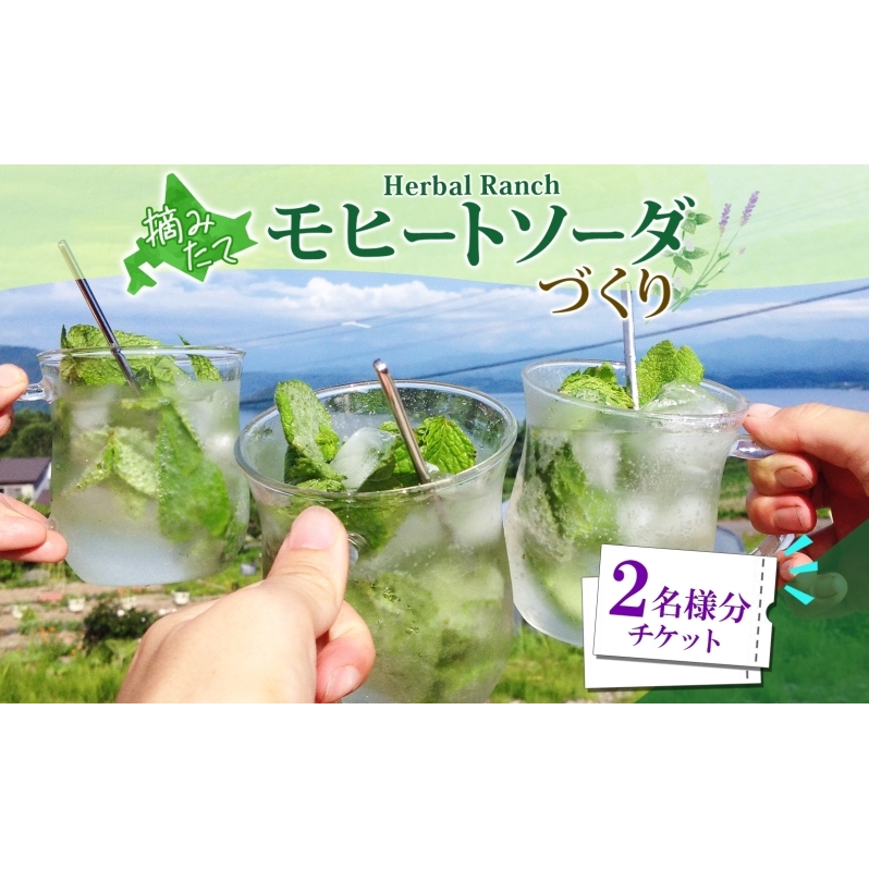 北海道 モヒート ソーダ 作り 体験 2枚 ハーブ ミント サイダー ノンアルコール ノンアル オリジナル  天然  リラックス 癒し リラクゼーション ハーバルランチ 送料無料 洞爺湖