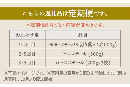 【肉のプロが厳選！】【全6回】佐賀牛 贅沢定期便 /肉 牛肉 佐賀牛 佐賀県産和牛 ブランド牛肉 肉 牛肉 佐賀牛 国産牛肉 上質な肉質 贅沢な牛肉 肉 牛肉 定期便 佐賀牛 佐賀県産和牛 ブランド牛