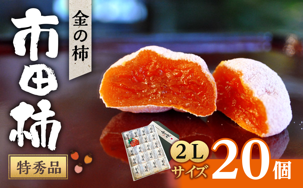 A-89【2027年1月中旬～3月下旬発送予定】【市田柿専門店　金の柿】黒箱「特秀品」2Lサイズ20個入り　干し柿｜柿｜カキ｜贈答｜長野県産｜南信州