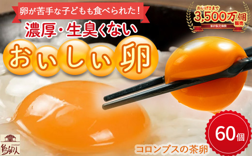 卵が苦手な子どもも食べられた！生臭くないおいしい卵 （10個入×6P） Gbn-59  たまご 卵 玉子 鶏卵 生卵 生たまご