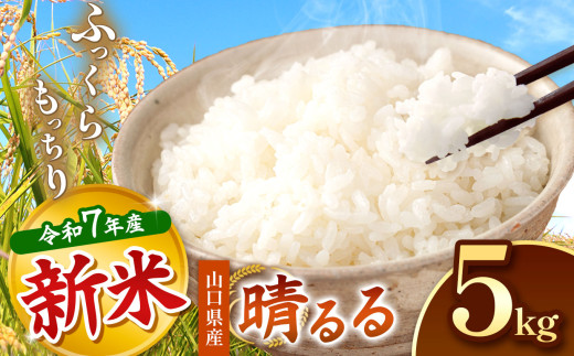 令和7年度産 新米 晴るる 白米 5kg 先行予約 ＜ 2025年9月中旬より順次発送予定 ＞ ｜ 米 精米 新米 白米 米 雑穀 お米 コメ 単一米 晴るる はるる  山口 美祢 秋吉台 5kg