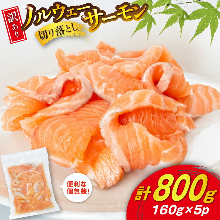 【ふるさと納税】 訳あり ノルウェー産 アトランティックサーモン 切り落とし おさしみ用 800g 160g×5p 個包装 [足利本店 宮城県 気仙沼市 20565990] 魚介 魚 サーモン さけ サケ 鮭 尾っぽ お刺し身 刺し身 刺身 冷凍