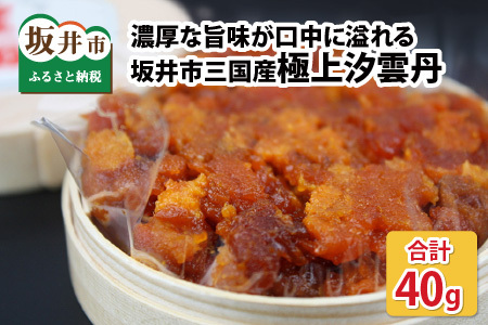 濃厚な旨味が口中に溢れる 坂井市三国産 極上汐雲丹 40g [E-9202]