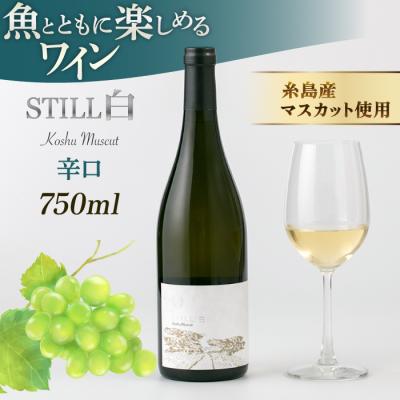 ふるさと納税 糸島市 【糸島マスエワイナリ】STILL白Koshu Muscut 1本 糸島市[AEP001]