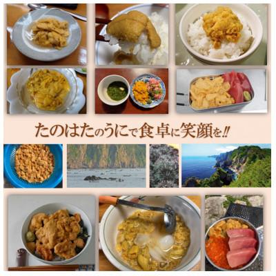ふるさと納税 田野畑村 岩手・三陸　小さな村のきれいな海で育った　新鮮　瓶入り生うに(160g) |  | 01