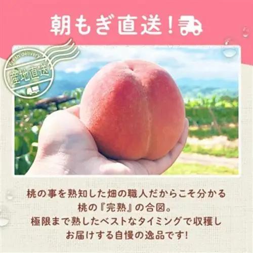 【2027年 先行受付】 桃 約2kg 5～6玉 朝もぎ直送! 旬の完熟『桃』選び抜かれた桃【配送不可地域：離島】【1359013】