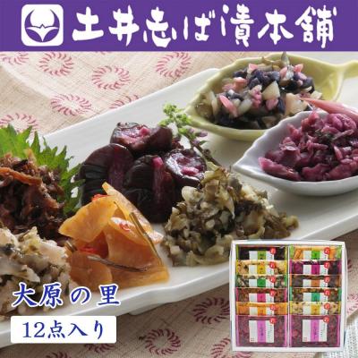 ふるさと納税 京都市 【土井志ば漬本舗】大原の里京漬物10種12点詰め合わせ W-30 |京都 漬物 有名店 人気セット