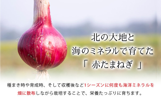 真珠の玉葱 ルージュ Lサイズ 5kg ＜海のミネラルで育てた赤玉葱＞｜玉ねぎ たまねぎ タマネギ 北海道産 岩見沢市【a134-011】 5kg