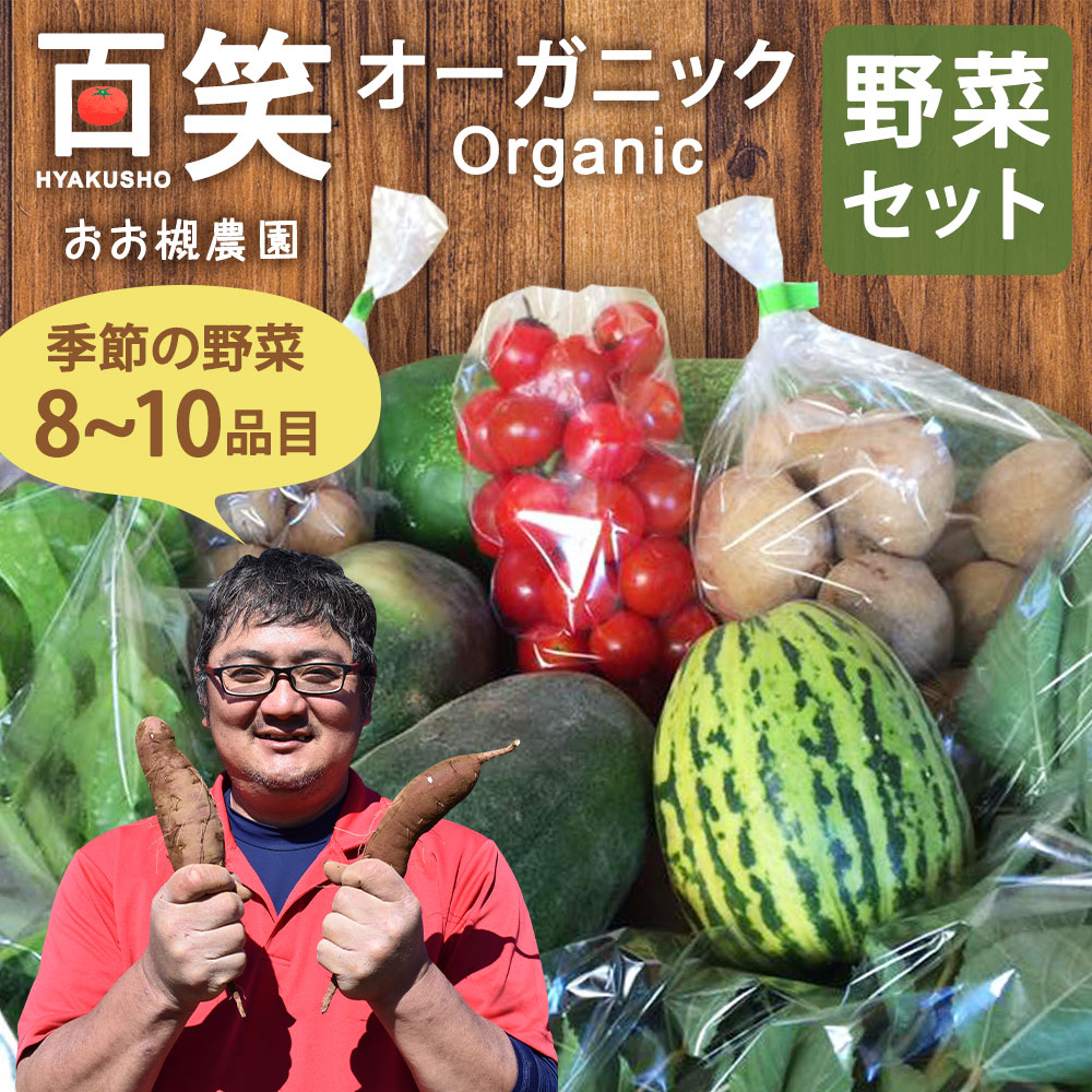 【ふるさと納税】百笑オーガニック野菜セット（8〜10品目）自然栽培野菜 野菜 セット 詰め合わせ 茨城県 鹿嶋市 送料無料（KAG-1）