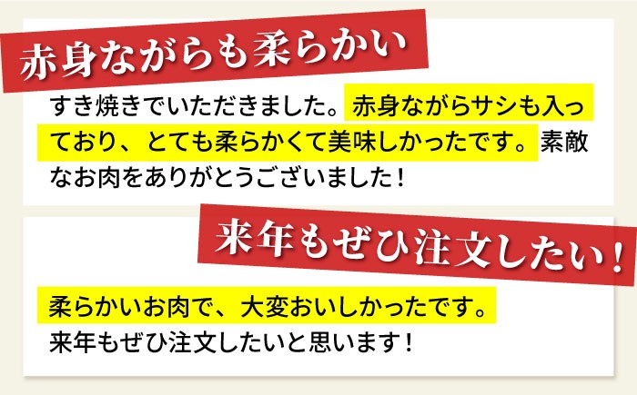 全6回定期便 佐賀牛 赤身スライス 500g 黒毛和牛 牛肉 定期便 赤身 しゃぶしゃぶ すき焼き 鍋 佐賀 定期 6回 6ヶ月