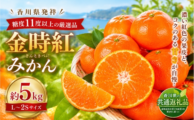 みかん 金時紅 約5kg L～2S 金時紅みかん 糖度11度以上 国産 高糖度 小原紅早生 小原紅早生みかん 早生みかん 紅みかん 紅色 香川県発祥 香川県オリジナル品種 柑橘 かんきつ 果物 冬の果物 香川県 土庄町