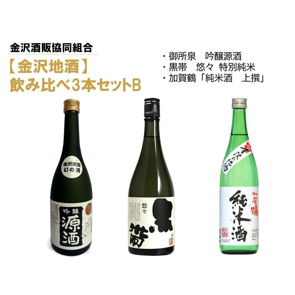 【ふるさと納税】【金沢地酒】飲み比べ3本セット　B