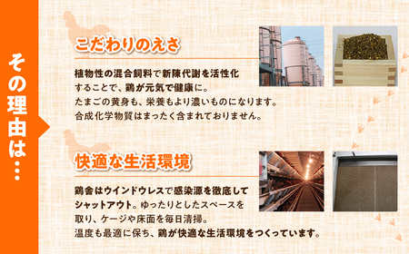 【12回定期便】農場たまご めぐみ 30個 割れ保証付き たまご