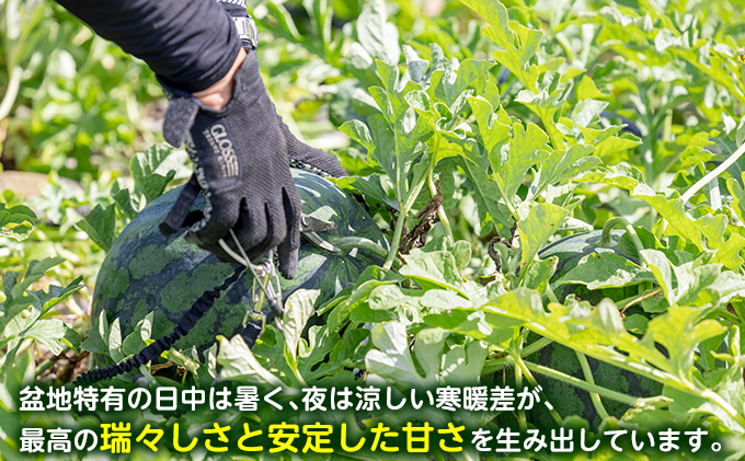 【旬をお届け定期便 全3回】 富良野産 アスパラ と 大玉ス