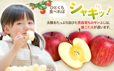 青森県産りんご サンふじ 約5kg 2026年1月中旬～ りんご