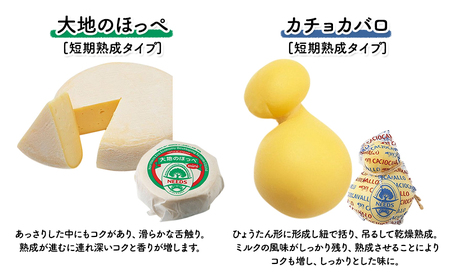 十勝 幕別 チーズアソート4種＆ミルクジャム チーズ