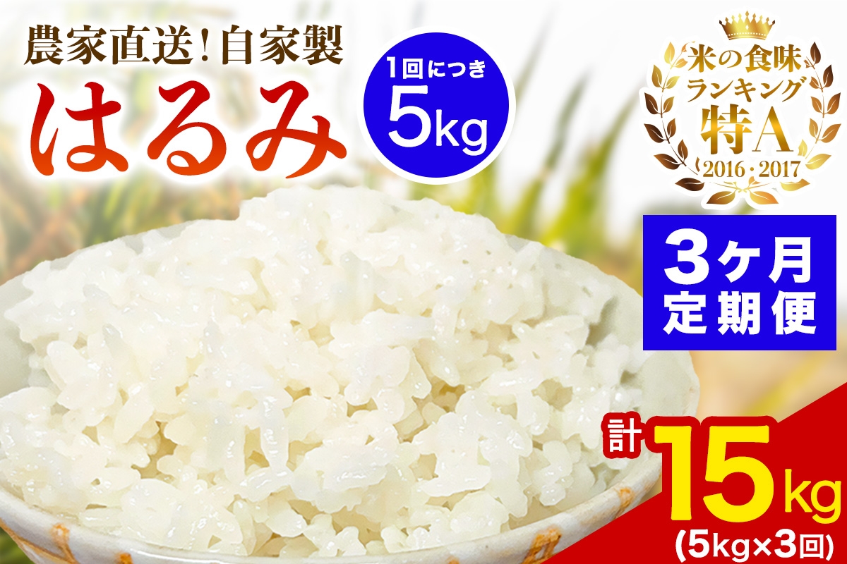 
                  [定期便／3ヶ月連続 ]新米[令和8年産／10月下旬より順次発送] 伊勢原産 精米5kg はるみ 農家直送！加藤さんちのうんめぇ！自家製米｜お米 おこめ コメ 白米 神奈川 伊勢原 ブランド米 [1103]
                