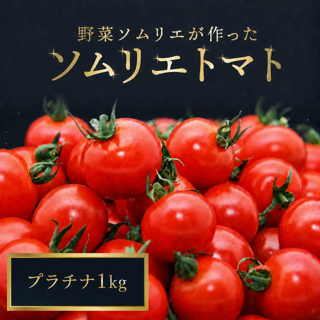 ミニトマト・プラチナ 1kg｜レッドアップ ※置き配でお届け