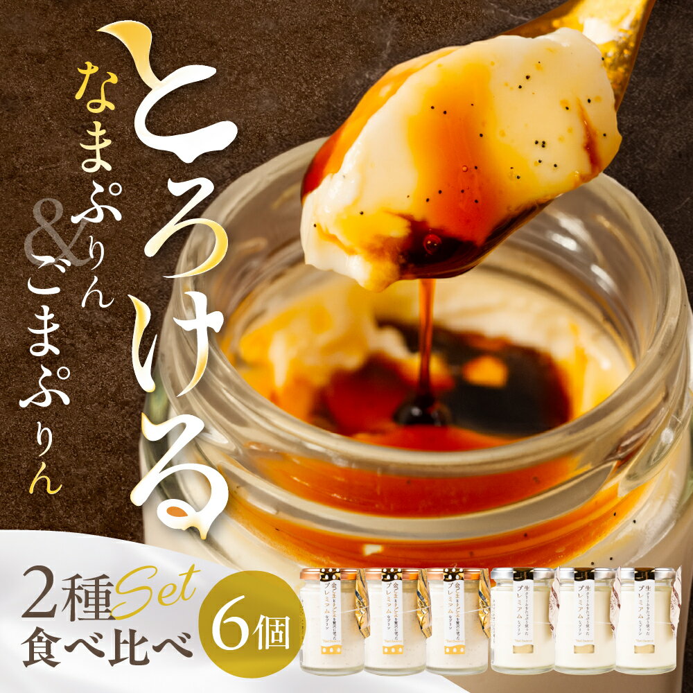 【ふるさと納税】プリン 2種 6個セット なまプリン ごまプリン なまぷりん ごまぷりん / 食品 洋菓子 スイーツ デザート ギフト 贈り物 [G0188] 12000円