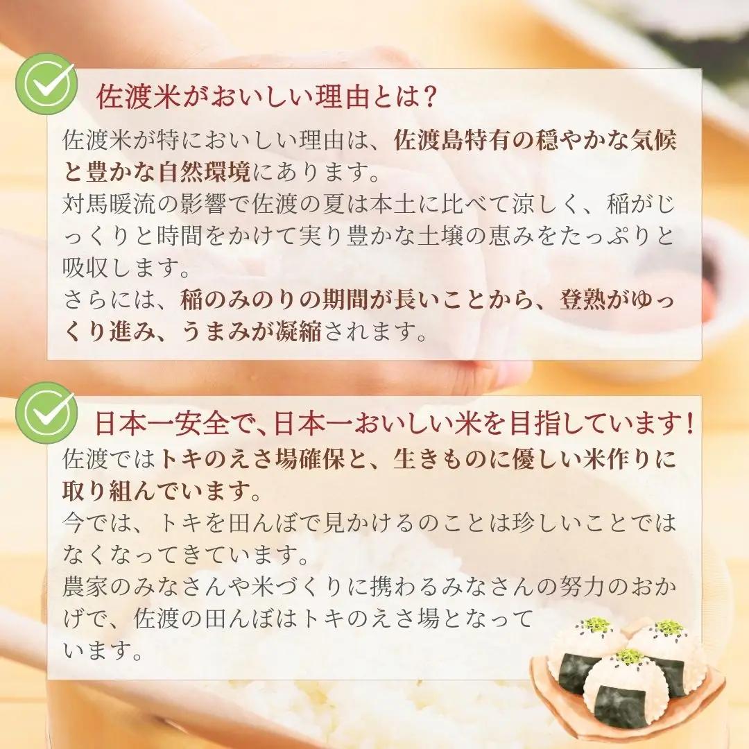 コシヒカリ 150g 20袋| 新潟県 佐渡市