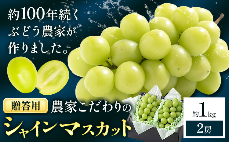 【2026年先行予約】ぶどう シャインマスカット  贈答用 農家こだわりの シャインマスカット 2房  約1kg 《2026年9月中旬-10月下旬頃出荷(土日祝除く)》 Nini farm マスカット 送料無料 岡山県 浅口市 フルーツ 果物 贈り物 国産 岡山県産 くだもの 果物 青果物st-p