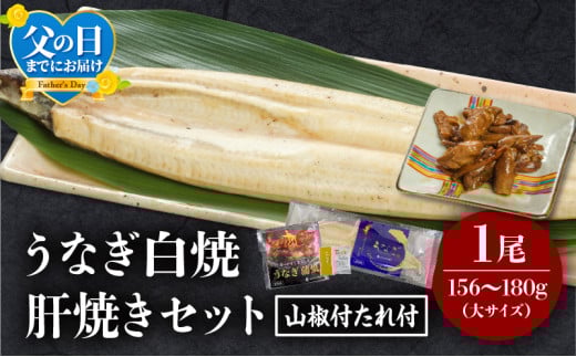 《父の日までにお届け予定(6月1日～6月15日)》うなぎ白焼(大サイズ)・肝焼きセット_M069-022-FD