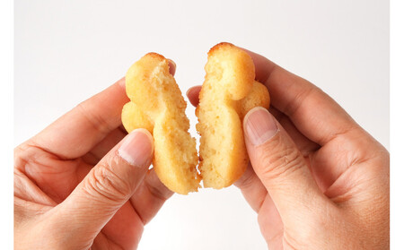 チャリティギフトボックス ～肉球スイーツ６点～