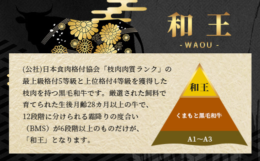 くまもと黒毛和牛(和王) ロースステーキ 200g ブランド牛 肉 ステーキ ロース 焼肉 霜降り 赤身 BBQ 牛肉 冷凍 精肉 国産 牛 プレミアム品質 122-0514