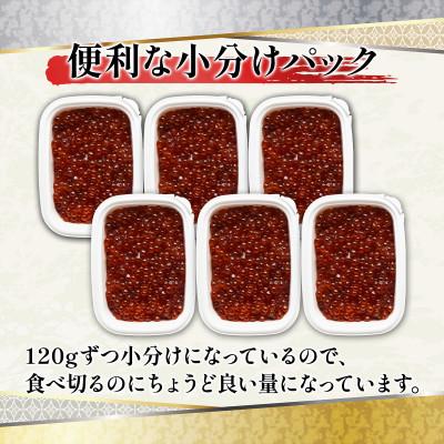 ふるさと納税 鹿部町 丸鮮道場水産 鮭っ子しょうゆ味 120g×6個(計720g) MC162-3 |  | 02