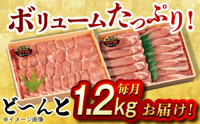 肉 豚 ぶた ブタ ロース しょうが焼き 生姜焼き しゃぶしゃぶ 小分け 長崎 九州 定期便