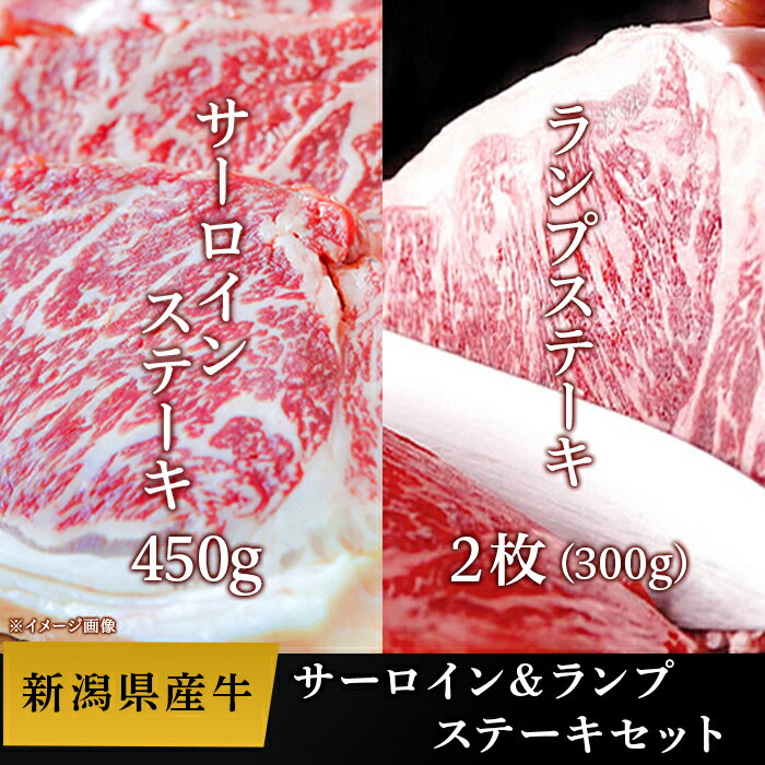 【ふるさと納税】76-57B新潟県産牛（長岡産）サーロインステーキ450g＆ランプステーキ2枚（計300g）