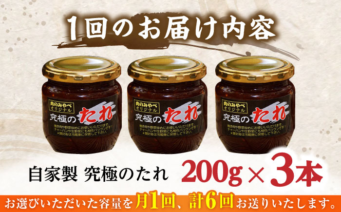 【全6回定期便】自家製 究極のたれ 200g×3本セット 【肉のみやべ】 [YAC026]