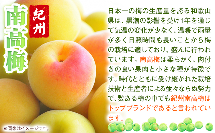 《加工食品カテゴリ上位ランクイン！》南高梅 はちみつ 梅 紀州南高梅 つぶれ 梅干し 2kg 有限会社プラム《30日以内に出荷予定(土日祝除く)》和歌山県 日高町 送料無料 梅 うめ ウメ 南高梅 つ