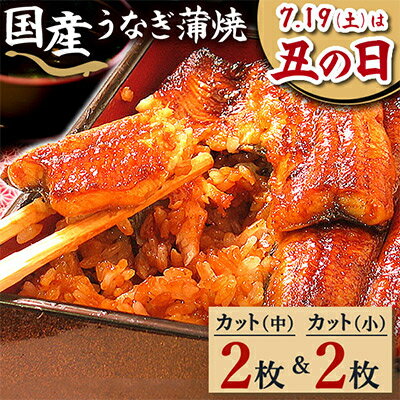 【ふるさと納税】浜名湖・うなぎのたなかのふっくら柔らか♪国産うなぎカット蒲焼(中)2枚(小)2枚※合計290g程度_ うなぎ ウナギ 鰻 かば焼き 蒲焼き 人気 美味しい 静岡県 ふるさと 国産 浜名湖 静岡 個包装 小分け 簡単調理 【配送不可地域：離島】【1417534】