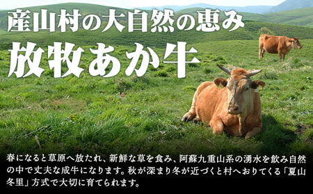 あか牛 ミニ ローストビーフ 300g 焼肉正 ローストビーフ《60日以内に出荷(土日祝除く)》【配送不可地域あり】