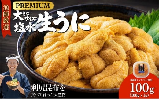 【2026年発送受付】漁師厳選！利尻天然うに”プレミアム”ムラサキウニ 100g塩水パック【2026年6～8月発送分】｜北海道 朝獲れ 塩水 ウニ 無添加 ミョウバン不使用 生 うに 雲丹 国産 天然 利尻 キタムラサキ ムラサキ [1060075]