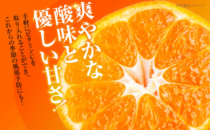 【先行予約】【10月より順次発送】酸味さわやか愛媛じるし! 温州みかん 5kg （2Sから2L混合サイズ） みかん 愛媛 みかん 果物 くだもの フルーツ 愛媛県大洲市/玉川農園 [AGBC005]