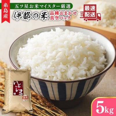 ふるさと納税 糸島市 長期保存可能 五ツ星お米マイスター 品種おまかせ 白米5kg 米屋納富[ARL005]