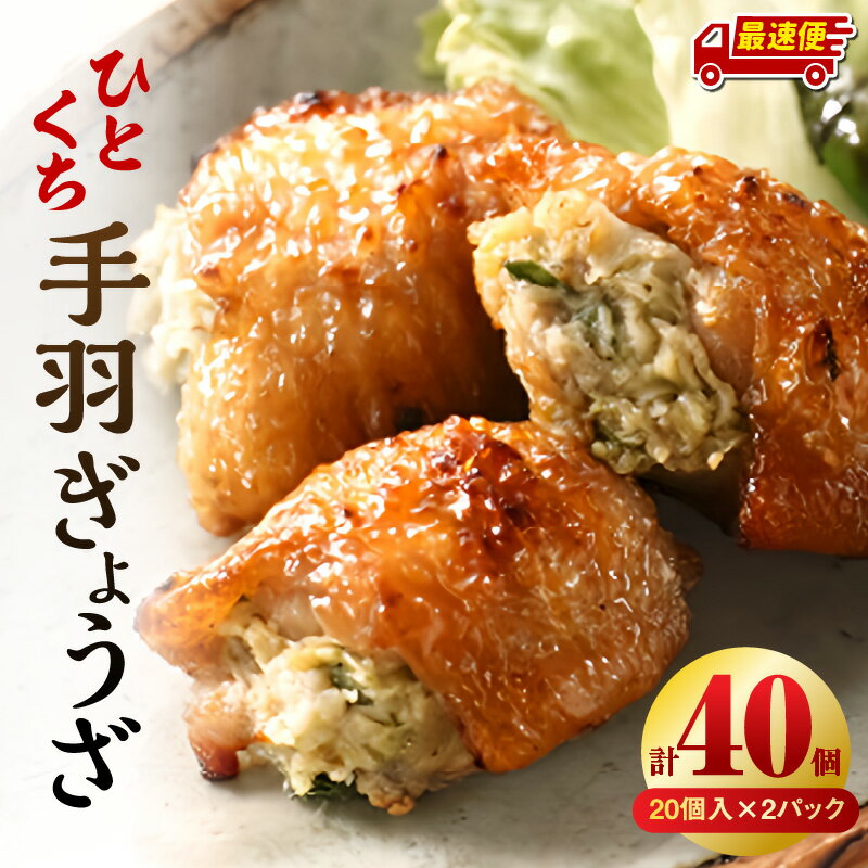 【ふるさと納税】【発送時期が選べる】ひとくち 手羽 ぎょうざ 計40個 20個入×2パック 餃子 手羽 肉 お肉 手羽先 宮崎餃子 ご当地 グルメ ご当地グルメ おつまみ おかず お取り寄せグルメ おすすめ 惣菜 お惣菜 食品 加工食品 加工品 名物宮崎市《レビューキャンペーン》